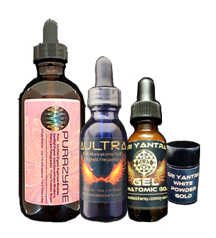Lightbody and Higher Self Bundle
